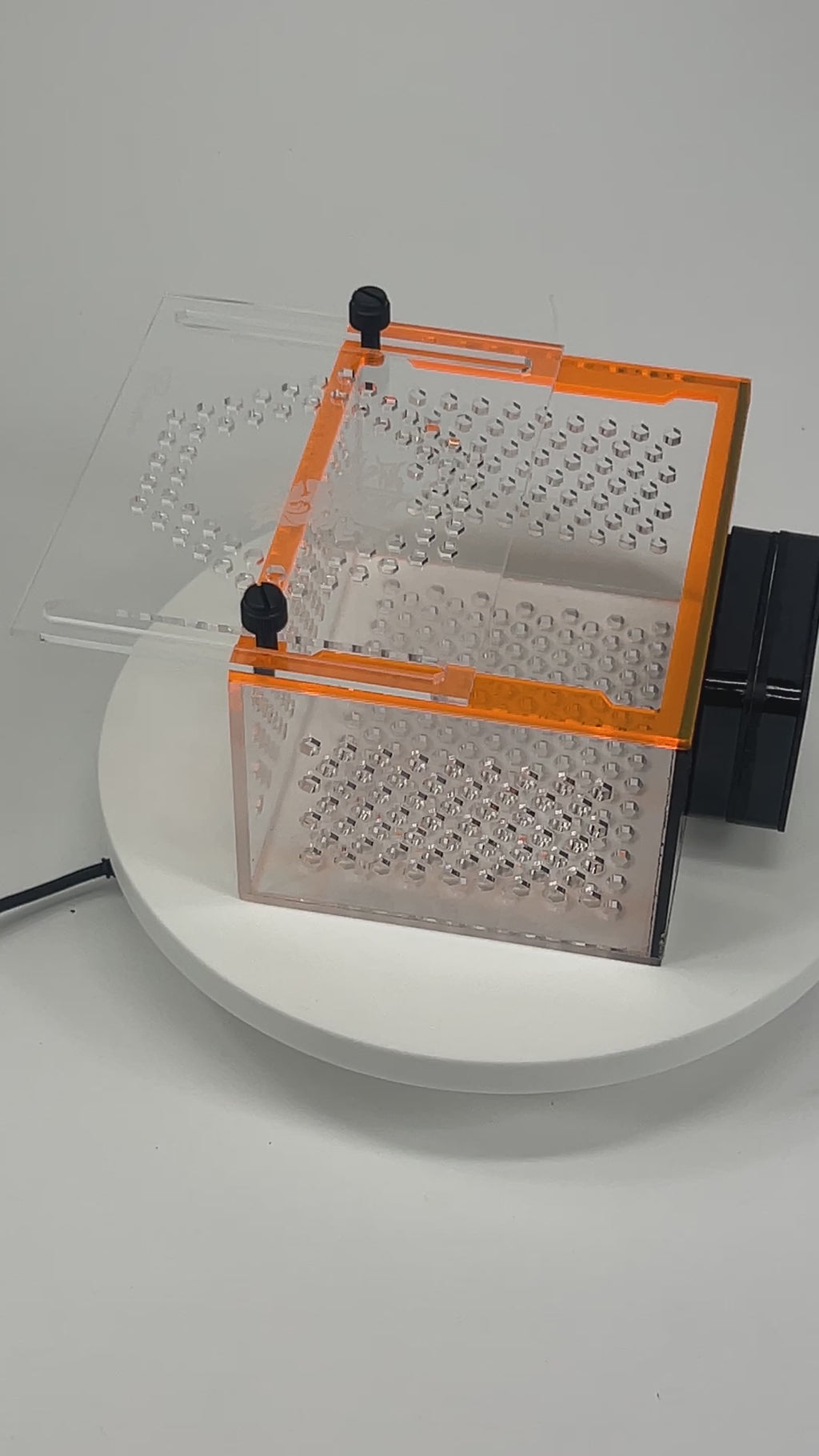 5x4 Magnetic Nem/Shroom Box