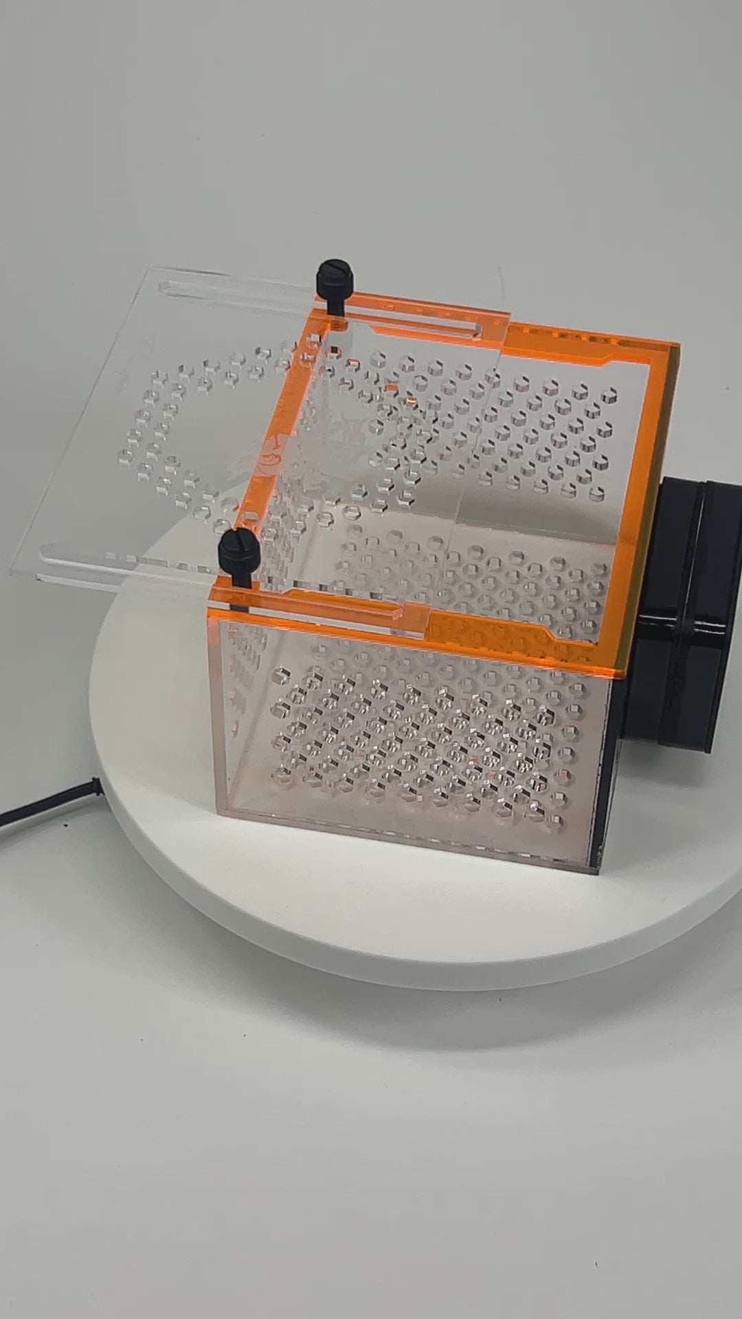 5x4 Magnetic Nem/Shroom Box